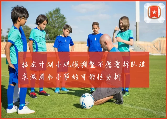 猛龙计划小规模调整不愿意拆队追求浓眉和小萨的可能性分析