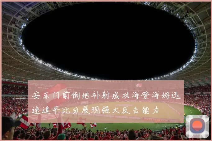 安东门前倒地补射成功海登海姆迅速追平比分展现强大反击能力